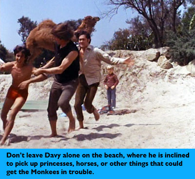 Davy and the camel.