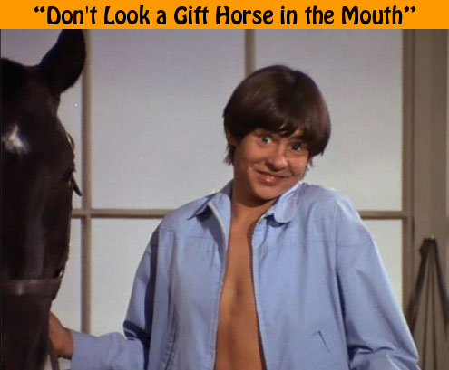 "Don't Look a Gift Horse in the Mouth"