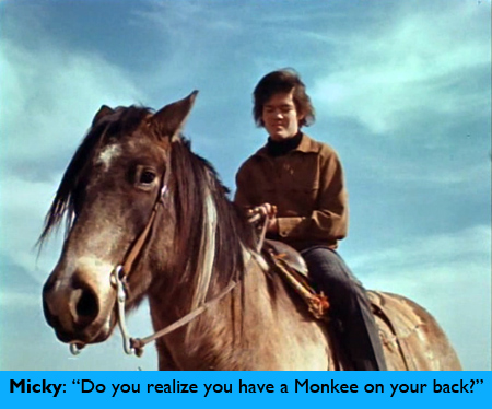 monkee-on-your-back