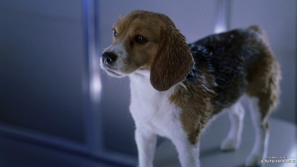 STAR TREK REWIND: “A Night in&nbsp;Sickbay”